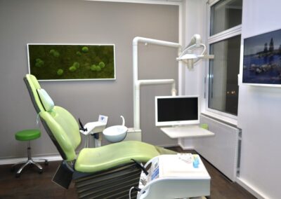 Behandlungsraum mit Kugelmoos und Naturbild bei Zahnarzt Dr. Pantas